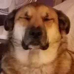 Meet your Posher, Monica